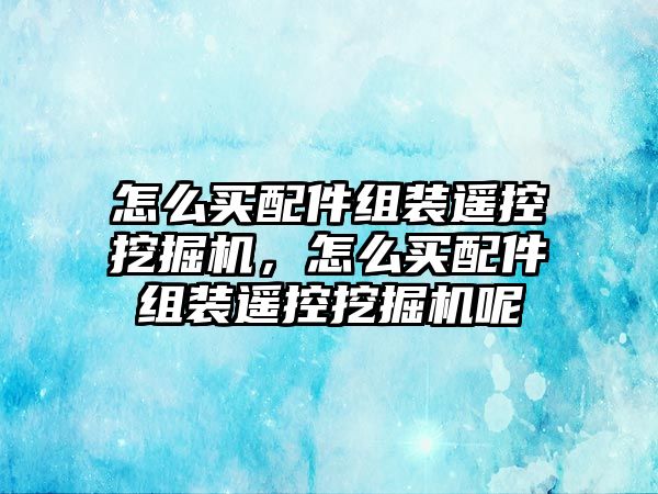 怎么買配件組裝遙控挖掘機，怎么買配件組裝遙控挖掘機呢