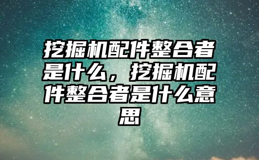 挖掘機配件整合者是什么，挖掘機配件整合者是什么意思