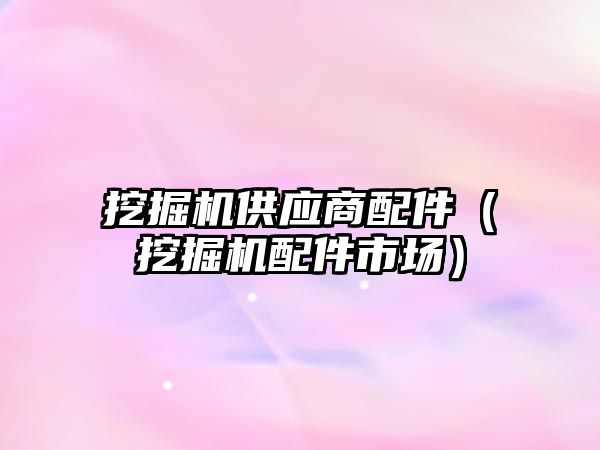 挖掘機供應(yīng)商配件（挖掘機配件市場）