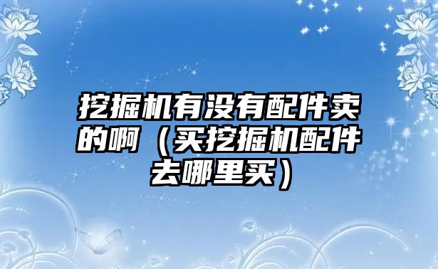 挖掘機(jī)有沒有配件賣的?。ㄙI挖掘機(jī)配件去哪里買）