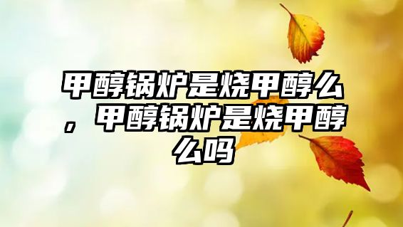 甲醇鍋爐是燒甲醇么，甲醇鍋爐是燒甲醇么嗎