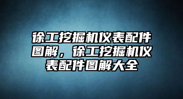 徐工挖掘機(jī)儀表配件圖解，徐工挖掘機(jī)儀表配件圖解大全