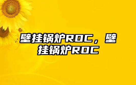 壁掛鍋爐ROC，壁掛鍋爐ROC