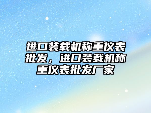 進口裝載機稱重儀表批發(fā)，進口裝載機稱重儀表批發(fā)廠家