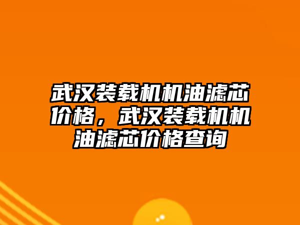 武漢裝載機機油濾芯價格，武漢裝載機機油濾芯價格查詢