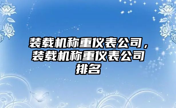 裝載機稱重儀表公司，裝載機稱重儀表公司排名