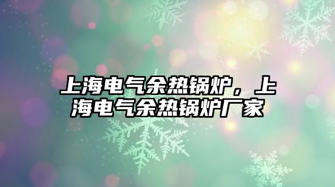 上海電氣余熱鍋爐，上海電氣余熱鍋爐廠家