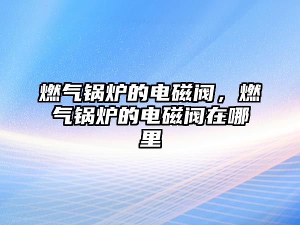 燃?xì)忮仩t的電磁閥，燃?xì)忮仩t的電磁閥在哪里