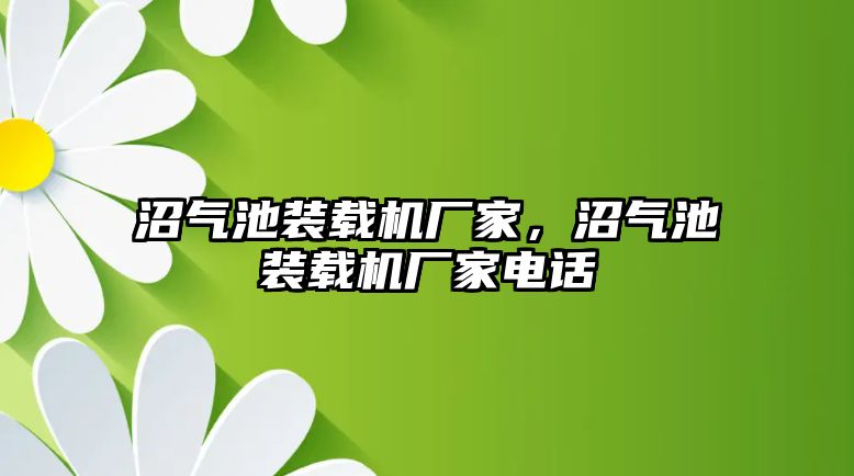 沼氣池裝載機廠家，沼氣池裝載機廠家電話