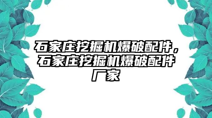 石家莊挖掘機(jī)爆破配件，石家莊挖掘機(jī)爆破配件廠家