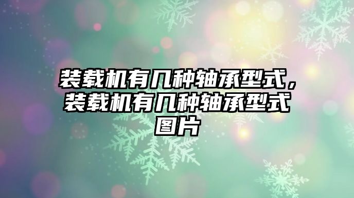 裝載機有幾種軸承型式，裝載機有幾種軸承型式圖片