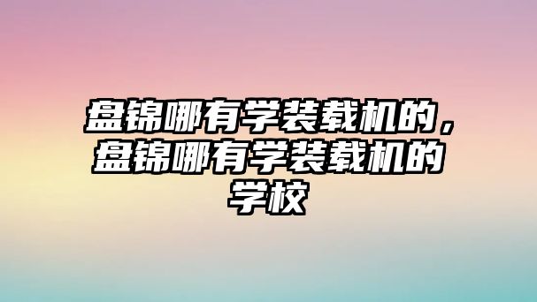 盤錦哪有學裝載機的，盤錦哪有學裝載機的學校