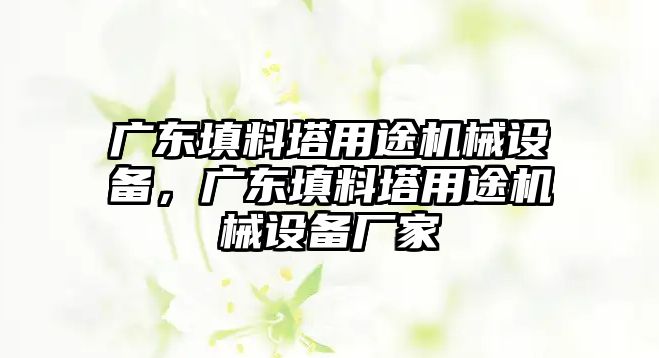 廣東填料塔用途機(jī)械設(shè)備，廣東填料塔用途機(jī)械設(shè)備廠家