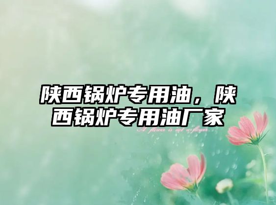 陜西鍋爐專用油，陜西鍋爐專用油廠家