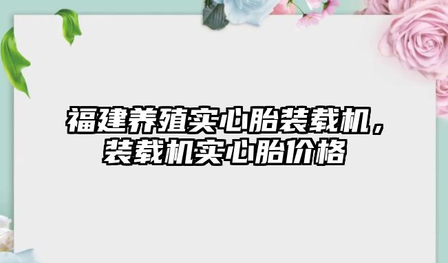 福建養(yǎng)殖實心胎裝載機，裝載機實心胎價格