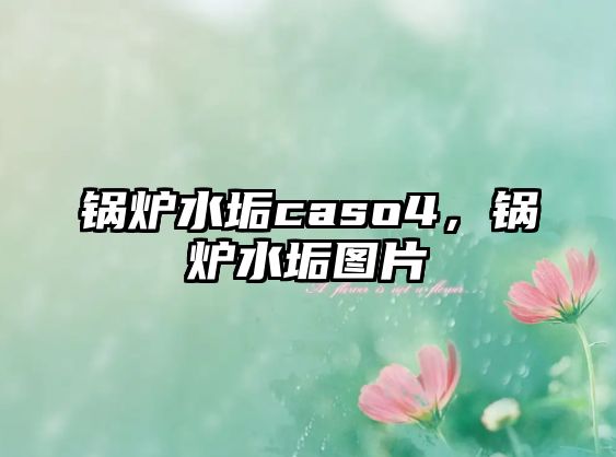 鍋爐水垢caso4，鍋爐水垢圖片