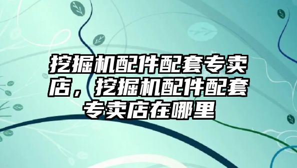 挖掘機配件配套專賣店，挖掘機配件配套專賣店在哪里