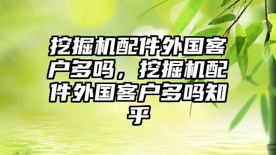 挖掘機(jī)配件外國(guó)客戶多嗎，挖掘機(jī)配件外國(guó)客戶多嗎知乎