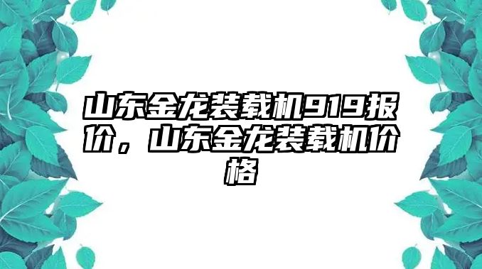 山東金龍裝載機919報價，山東金龍裝載機價格