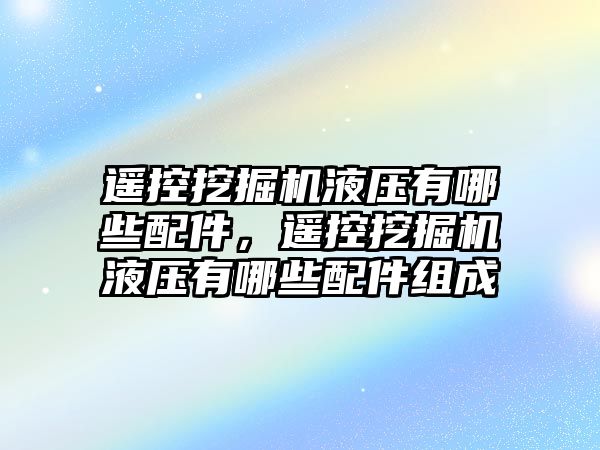 遙控挖掘機液壓有哪些配件，遙控挖掘機液壓有哪些配件組成