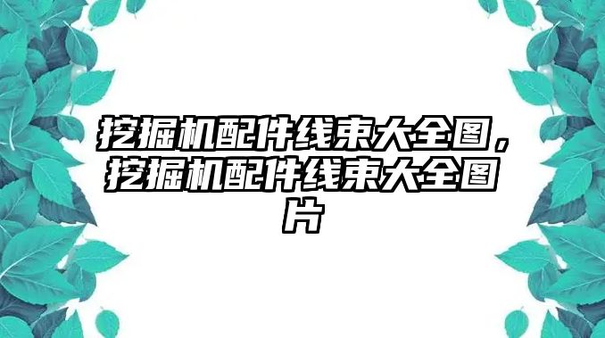 挖掘機配件線束大全圖，挖掘機配件線束大全圖片