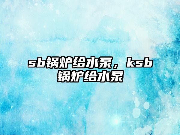 sb鍋爐給水泵，ksb鍋爐給水泵