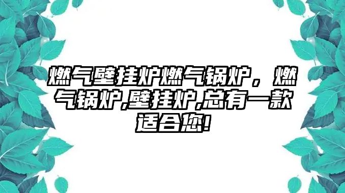 燃?xì)獗趻鞝t燃?xì)忮仩t，燃?xì)忮仩t,壁掛爐,總有一款適合您!