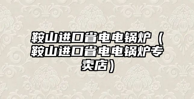 鞍山進口省電電鍋爐（鞍山進口省電電鍋爐專賣店）