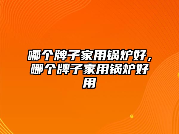 哪個(gè)牌子家用鍋爐好，哪個(gè)牌子家用鍋爐好用