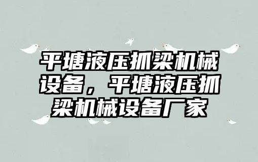 平塘液壓抓梁機械設(shè)備，平塘液壓抓梁機械設(shè)備廠家