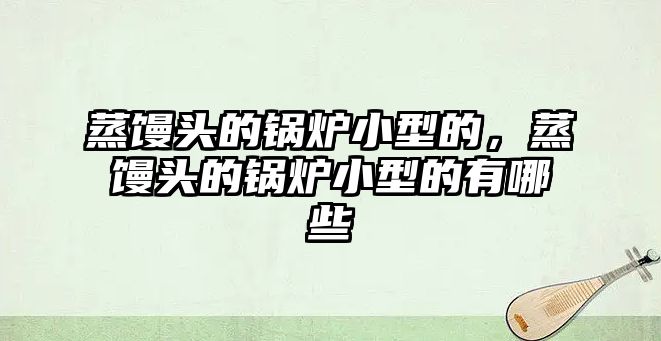 蒸饅頭的鍋爐小型的，蒸饅頭的鍋爐小型的有哪些