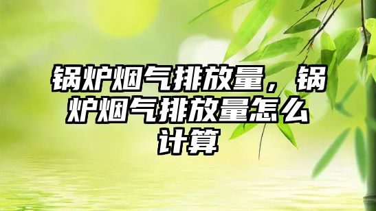 鍋爐煙氣排放量，鍋爐煙氣排放量怎么計算