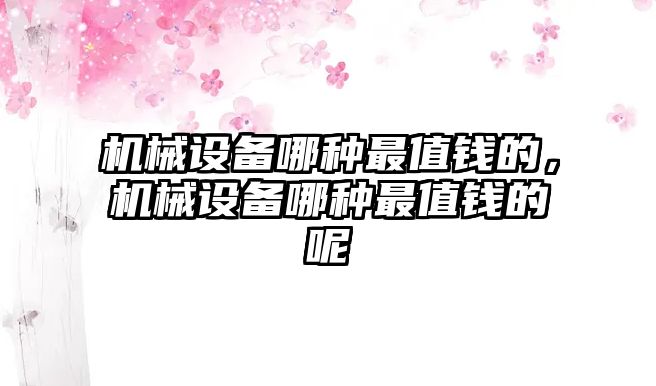 機械設(shè)備哪種最值錢的，機械設(shè)備哪種最值錢的呢