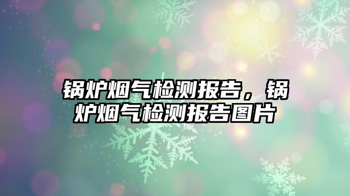 鍋爐煙氣檢測(cè)報(bào)告，鍋爐煙氣檢測(cè)報(bào)告圖片