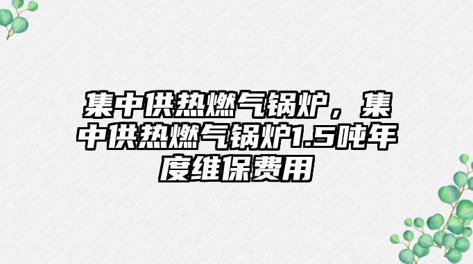 集中供熱燃?xì)忮仩t，集中供熱燃?xì)忮仩t1.5噸年度維保費用