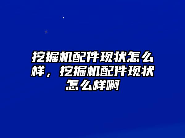 挖掘機(jī)配件現(xiàn)狀怎么樣，挖掘機(jī)配件現(xiàn)狀怎么樣啊