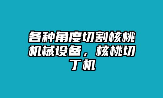 各種角度切割核桃機械設(shè)備，核桃切丁機