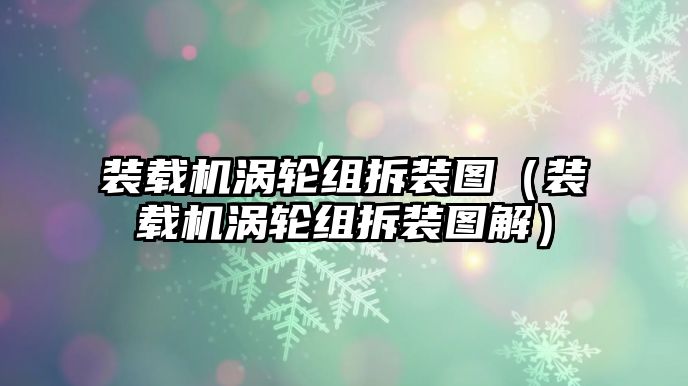 裝載機渦輪組拆裝圖（裝載機渦輪組拆裝圖解）