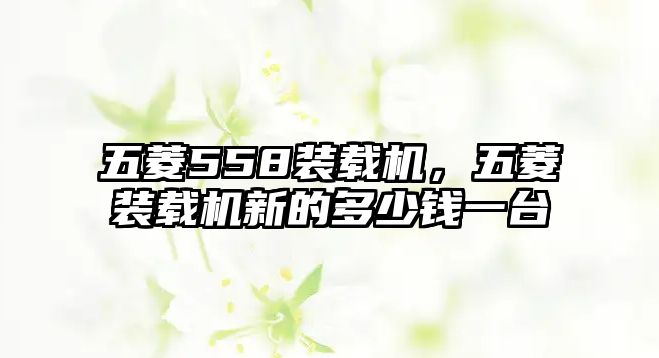 五菱558裝載機(jī)，五菱裝載機(jī)新的多少錢一臺(tái)