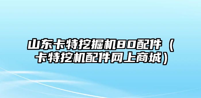 山東卡特挖掘機80配件（卡特挖機配件網(wǎng)上商城）