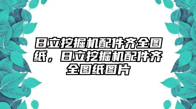 日立挖掘機配件齊全圖紙，日立挖掘機配件齊全圖紙圖片