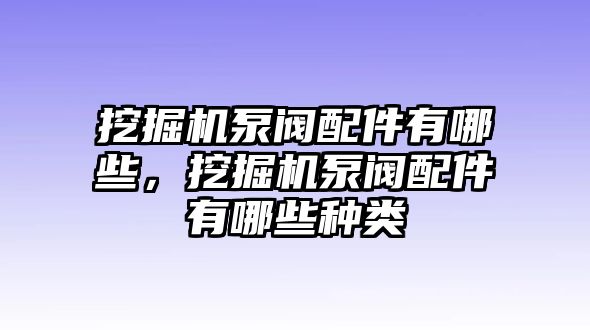 挖掘機(jī)泵閥配件有哪些，挖掘機(jī)泵閥配件有哪些種類(lèi)