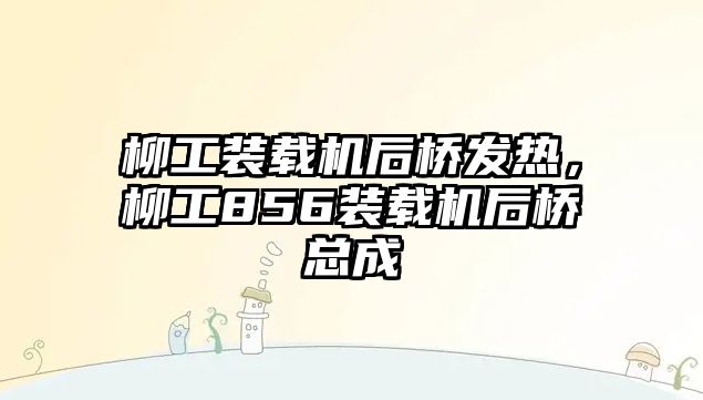 柳工裝載機后橋發(fā)熱，柳工856裝載機后橋總成