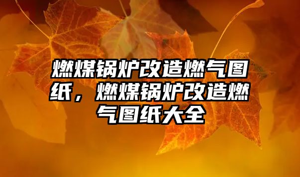 燃煤鍋爐改造燃?xì)鈭D紙，燃煤鍋爐改造燃?xì)鈭D紙大全