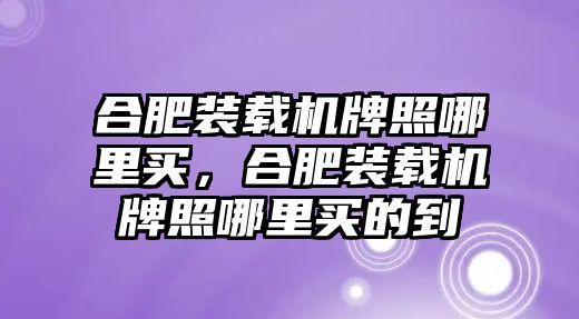 合肥裝載機牌照哪里買，合肥裝載機牌照哪里買的到