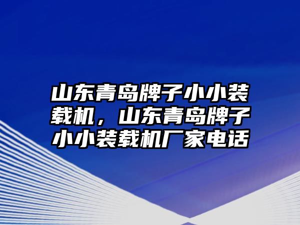 山東青島牌子小小裝載機，山東青島牌子小小裝載機廠家電話