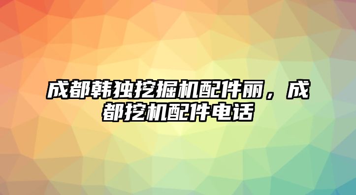 成都韓獨挖掘機配件麗，成都挖機配件電話