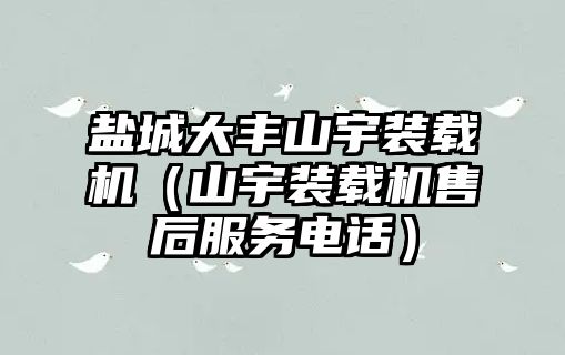 鹽城大豐山宇裝載機（山宇裝載機售后服務電話）