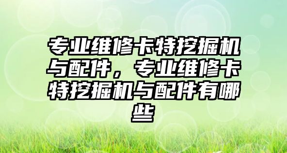 專業(yè)維修卡特挖掘機與配件，專業(yè)維修卡特挖掘機與配件有哪些