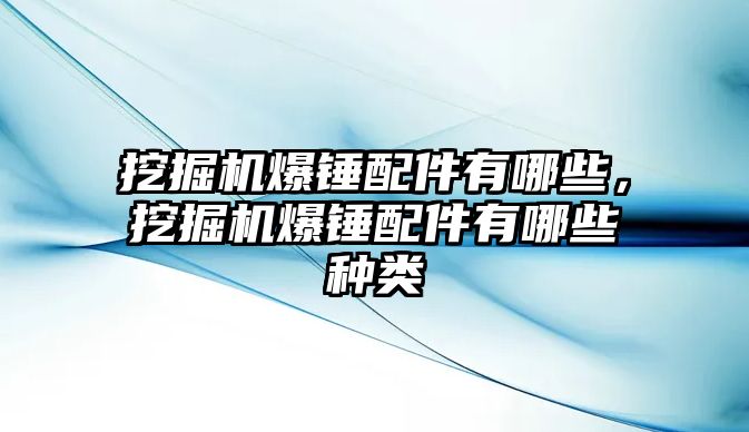 挖掘機爆錘配件有哪些，挖掘機爆錘配件有哪些種類